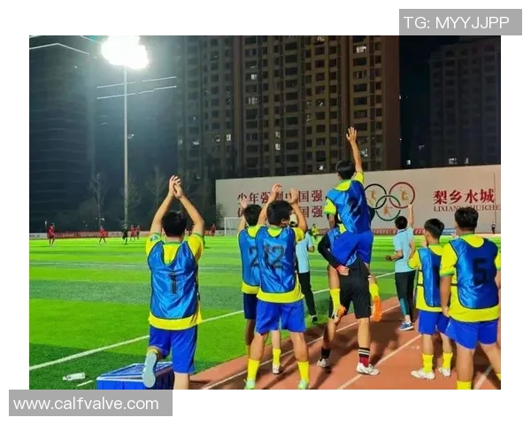 当绿茵激情化为怒火时足球巨星赛场冲突震惊世界 当绿茵激情化为怒火时足球巨星赛场冲突震惊世界