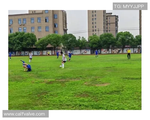 绿茵豪情与诗意交织细读足球球星人生华彩篇章