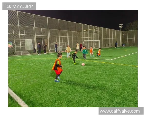 从少年绿茵到巨星舞台一位足球明星成长历程探秘 从少年绿茵到巨星舞台一位足球明星成长历程探秘