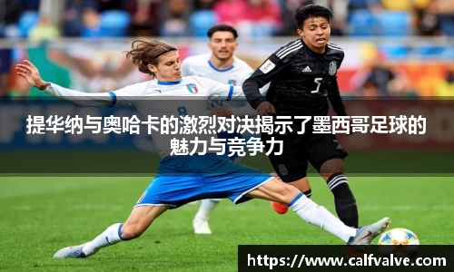 DB视讯平台DB视讯官方网站