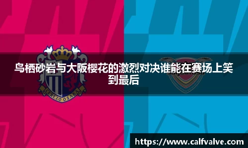 DB视讯