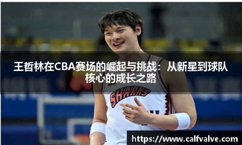 DB视讯平台DB视讯官方网站