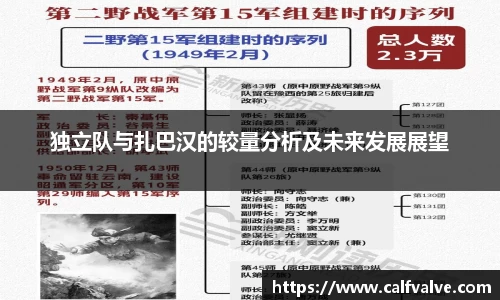 DB视讯